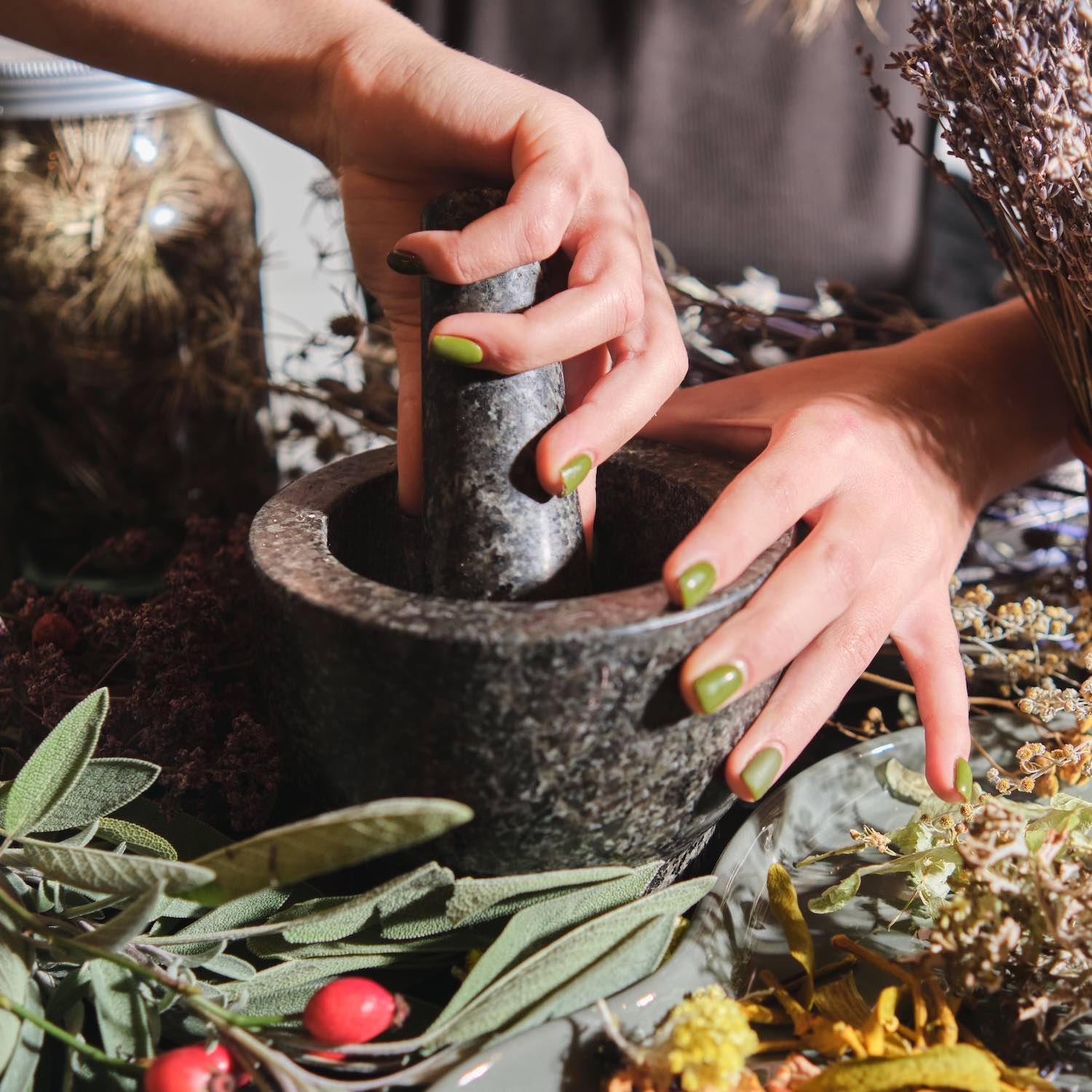 phytotherapie-bagneux-pharmacie-les-bas-longchamps